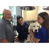 Moriches Hospital For Animals