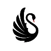 Black Swan Business Setup Services Black Swan Business Setup Services