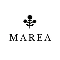Marea by Liz Joy