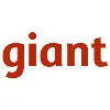 Giant Design Giant Design