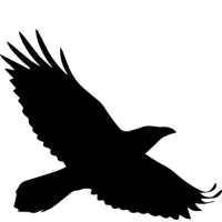CORVUS Environmental Consulting