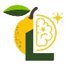 Lemon Software Solution Lemon Software Solution