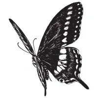 Docextractor