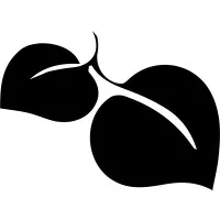 LIFESOURCE NATURAL FOODS