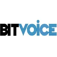 Bitvoice Solutions Private Limited