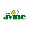 Avine Avine