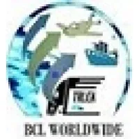 Beta Cargo Logistics Worldwide Limited