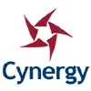 Cynergy Professional Systems