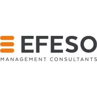 EFESO Management Consultants