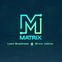 Matrix ERP L.L.C