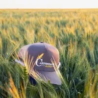 Carpendale Agri