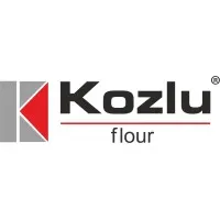 Kozlu Flour Mills