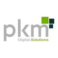 PKM Soluciones Digitales 
