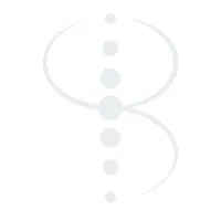 The Brisbane Spine Clinic