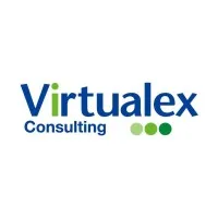 Virtualex Consulting, Inc.