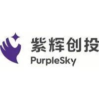 PurpleSky Capital PurpleSky Capital