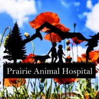 Prairie Animal Hospital - Coeur d'Alene Prairie Animal Hospital - Coeur d'Alene