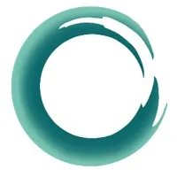 NewLink Automaton