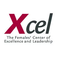 Xcel, Inc.