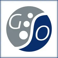 Georgia Spine & Orthopedics