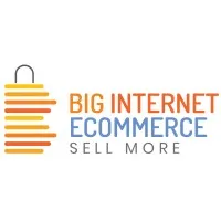 Big Internet Seller Services Inc Big Internet Seller Services Inc