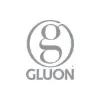 Gluon Gluon