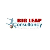 Big Leap Consultancy
