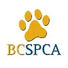 BC SPCA BC SPCA