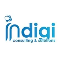 Indigi Consulting and Solutions - Technology Leader of NorthEast India