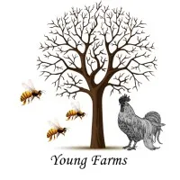 YOUNG FARMS