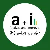 Analyze and Improve Inc. Analyze and Improve Inc.
