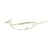 Narwhal Capital Management Narwhal Capital Management