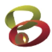 The Bean Consulting Group