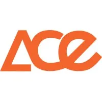 ACE Consulting