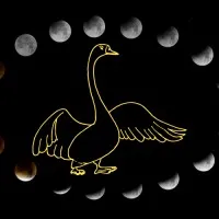 DappGoose Labs DAO