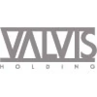VALVIS HOLDING email format
