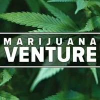 MJ Venture
