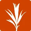 Development Seed Development Seed