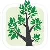Branches, Inc. Branches, Inc.
