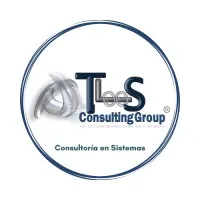 TLS Consulting Group