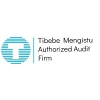 Tibebe Mengistu Authorized Audit Firm