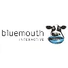 Bluemouth Interactive Bluemouth Interactive