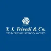 Y J Trivedi & Co.
