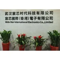 Wide Star International Electronics Company Limited Wide Star International Electronics Company Limited