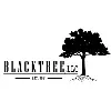 BLACKTREE LLC BLACKTREE LLC