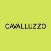 Cavalluzzo LLP Cavalluzzo LLP