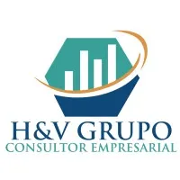 H&V GRUPO CONSULTOR EMPRESARIAL