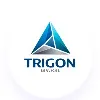 Trigon Services Private Limited Trigon Services Private Limited