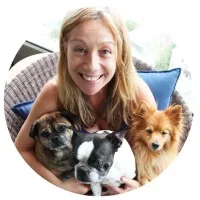 paws on the run paws on the run