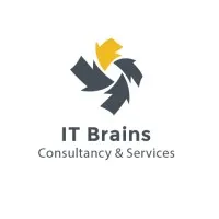 IT Brains